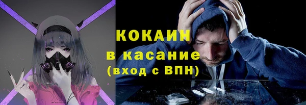 шишки Абинск