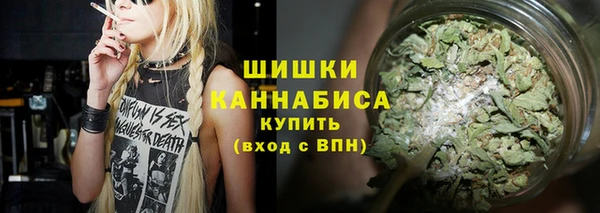 шишки Абинск